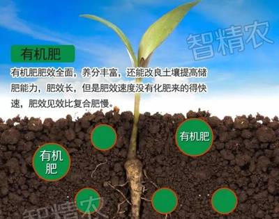 微生物菌肥能不能和复合肥、有机肥一起用?需要注意什么?